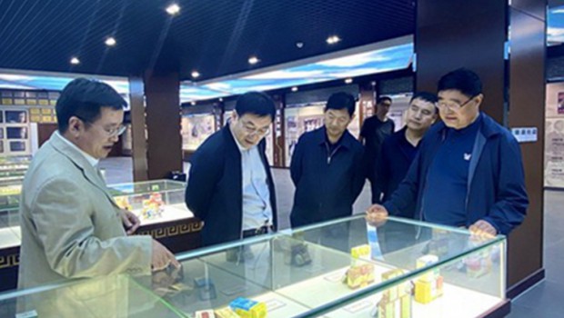 省政府副省长程晓波一行莅临3118云顶集团调研