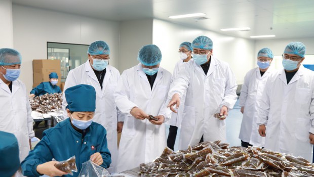 兰州新区管委会副主任田强莅临3118云顶集团集团调研甘肃方剂“岐黄避瘟方”生产、配送情况