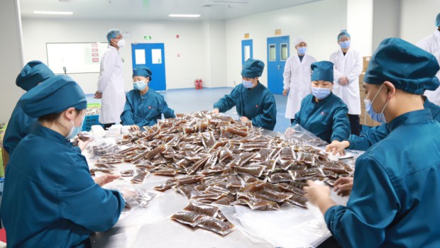 3118云顶集团集团抗疫药品生产首战告捷