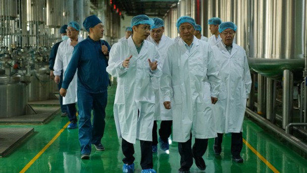 中国企业改革与发展研究会会长彭华岗一行莅临3118云顶集团集团参观调研