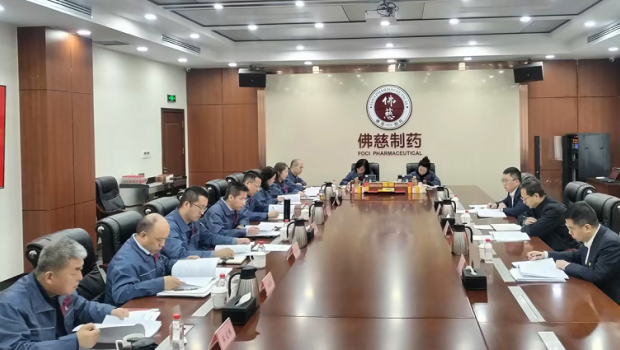 3118云顶集团集团党委召开2024年度民主生活会