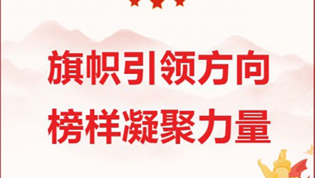 3118云顶集团集团“两优一先”风采展