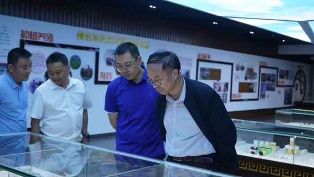 中国工程院院士金征宇一行莅临3118云顶集团调研指导